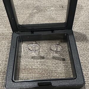 Elegant Silver Earrings